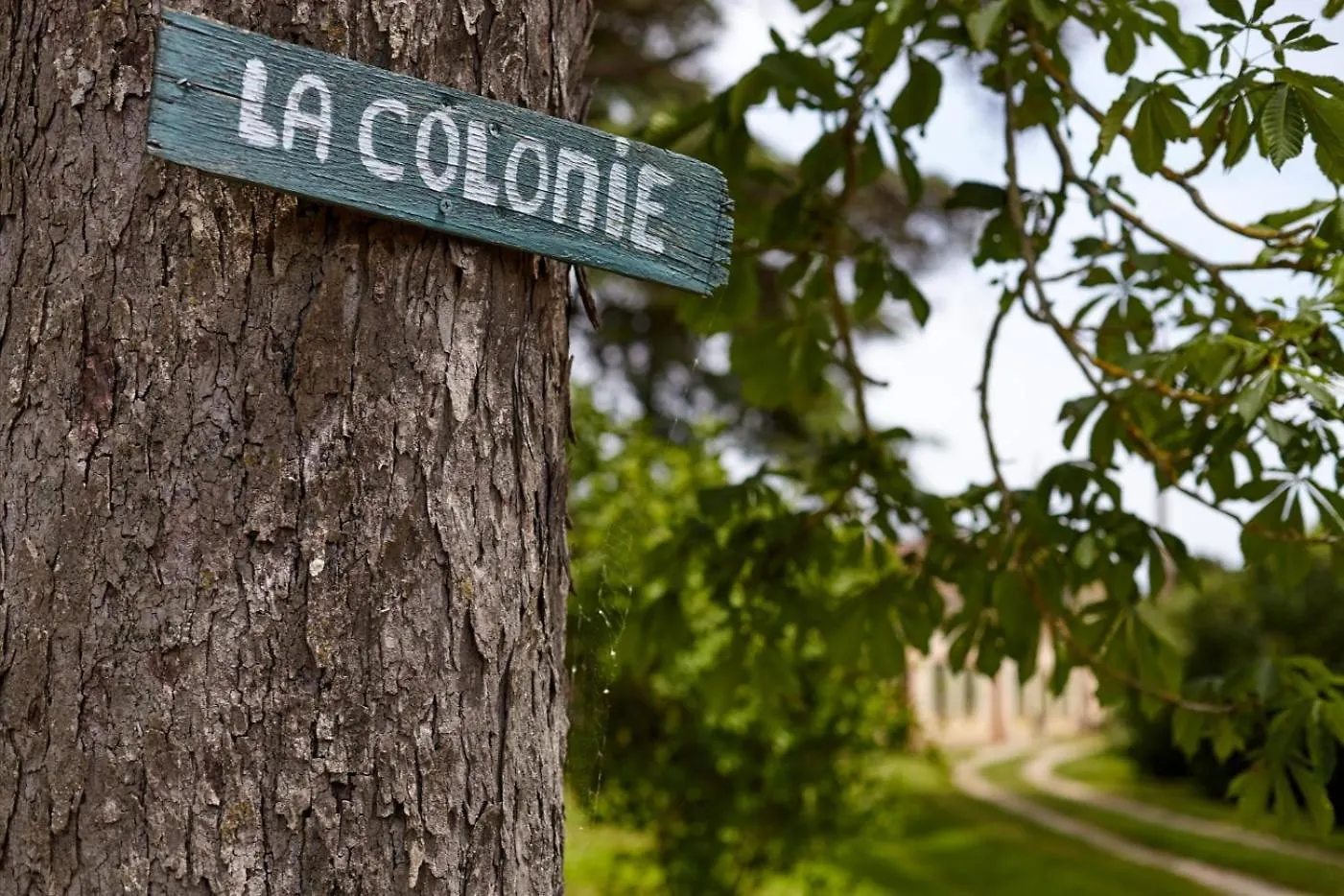 Holiday home La Colonie St Joseph - Gites Pour 4 De Charme Labastide-Saves France